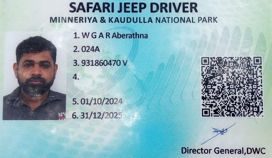 Driver License Back